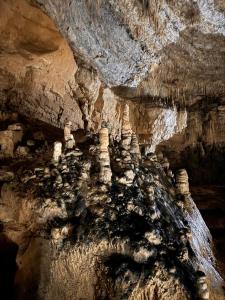 Tintaya Hotel Chachapoyas