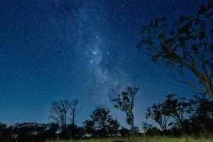 Scribbly Farm, Boutique Southern Highlands Accommodation - Barrallier