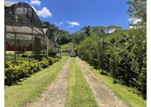 Cantinho da Cerejeira