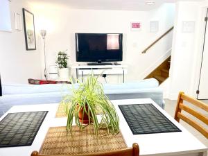 Excellent Private Suite in Bloor West Village