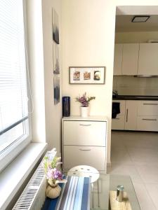 Modern and Cozy flat, 10 min by tram from centre