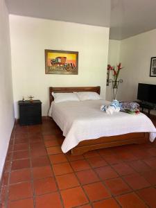 Villa Sonia Eco-Hostel