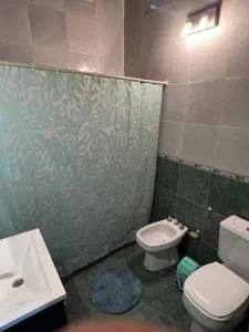 La soñada Andino - Timbues