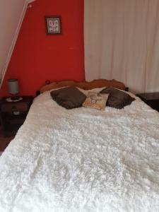 Casa Villarrica, El Alba 2128