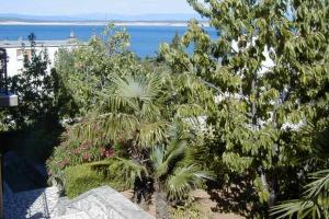 Apartments with parking space Crikvenica - 23997