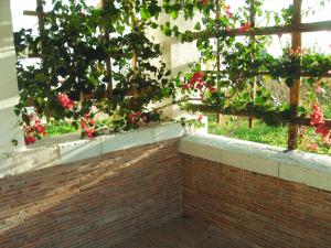 Casale Stagnone