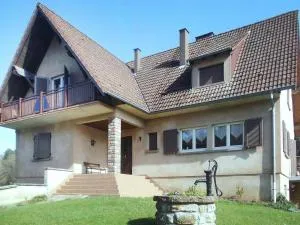 Cosy, spacious holiday home, Northern Vosges - 巴伦塔尔