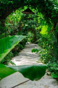 Luxurious Bohemian 4-bedroom open living Villa by Triang Villas