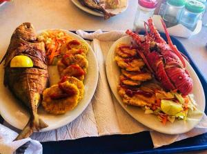 SAN-BLAS CAMPING GUNA YALA Panamá