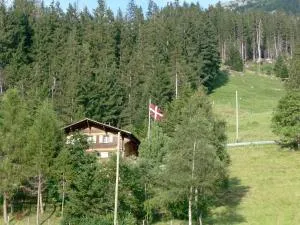 Chalet Weidli - Elsigbach