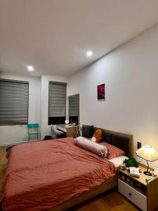 1 bedroom w kitchen apartment in the center