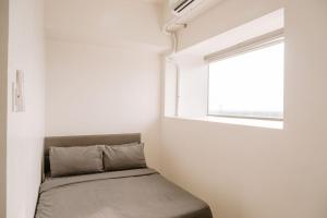 Tranquility in the City