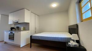 Tiny House Apartment in der Nähe des Rheinfalls