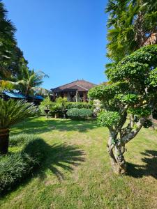 Nirun Garden Villa - Balinese Traditional House in North Bali