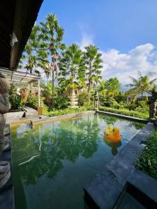 Nirun Garden Villa - Balinese Traditional House in North Bali - Jinengdalem