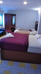 Asoka Inn