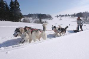 Chalets Chalet Monts Jura : photos des chambres