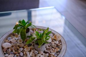 Endless Summer Beach House