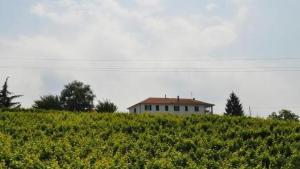 Agriturismo Ai Piacentini