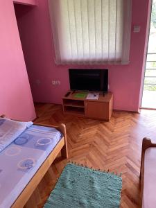 Banja Gornja Trepca-smestaj Grof