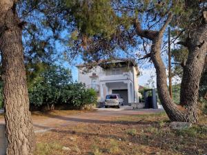 Apartment in Okrug Donji with sea view, terrace, air conditioning, WiFi 5136-1