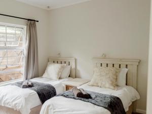 Deja Blue, Amblewood Guesthouse