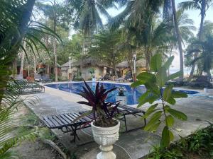 Beach Bungalow Retreat