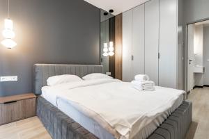 Spodek Superior Apartment by BookingHost