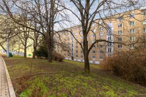 Rooftop Flower Power Apartment