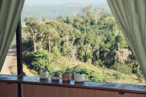 Nhà Đậu Homestay Măng Đen - 75 Võ Thị Sáu