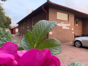 Strandnahe Ferienwohnung Haus Sonneneck 2