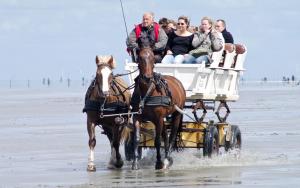 Strandnahe Souterrain-Ferienwohnung Haus Sonneneck 3