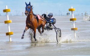 Strandnahe Souterrain-Ferienwohnung Haus Sonneneck 3