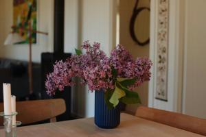 Kayak, Fish And Enjoy The Sea View