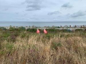 Kayak, Fish And Enjoy The Sea View