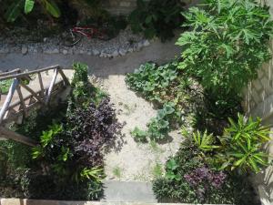 Yoga&Gym Zanzibar Guesthouse