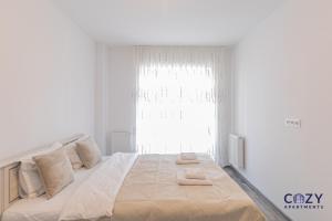 Cozy 3 Bedroom Apartment Coresi Mall