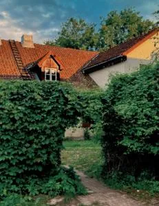 TIL Residency - Ošlejas