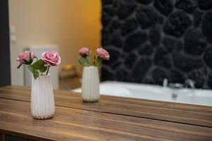 Dioroh Suites Meteora 304