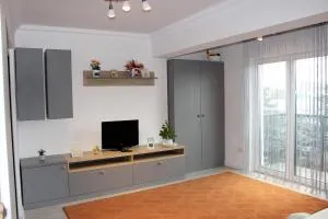 Cozy Apartments in Centre of Suceava near Kaufland and University - Bulai-Bosanci