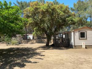 Campings Camping Olva *** : photos des chambres