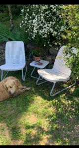 Piscina, relax e arte