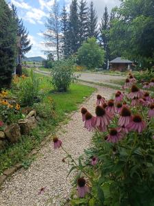 Siedlisko nad Stawem