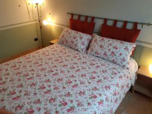 VILLETTA TRA GLI ULIVi 2