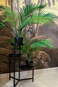 Kolonaki Supreme by Elena