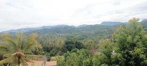 Johans Villa Kandy