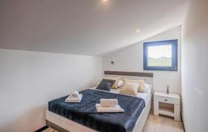 House with pool žman