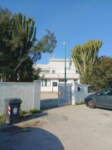 Newfaro2