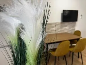 Apartma Rače - 斯洛文尼亚比斯特里察