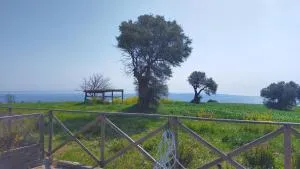 Villetta a schiera trilocale cod 397 - Taunus Vacanze - Osimo